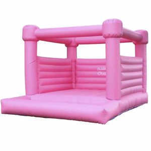 Globo loco Rosa 5x4Mts