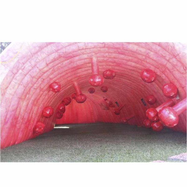 Tunel Colon - Imagen 2