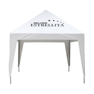 Toldo Metálico 3 X 3 Mts Estrellita