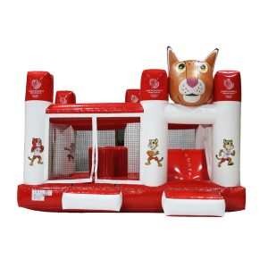 Globo Loco Tirika 5 X 4 X 3,50 Mts Comite Olimpico Paraguayo