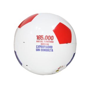PELOTA 2 X 2 MTS